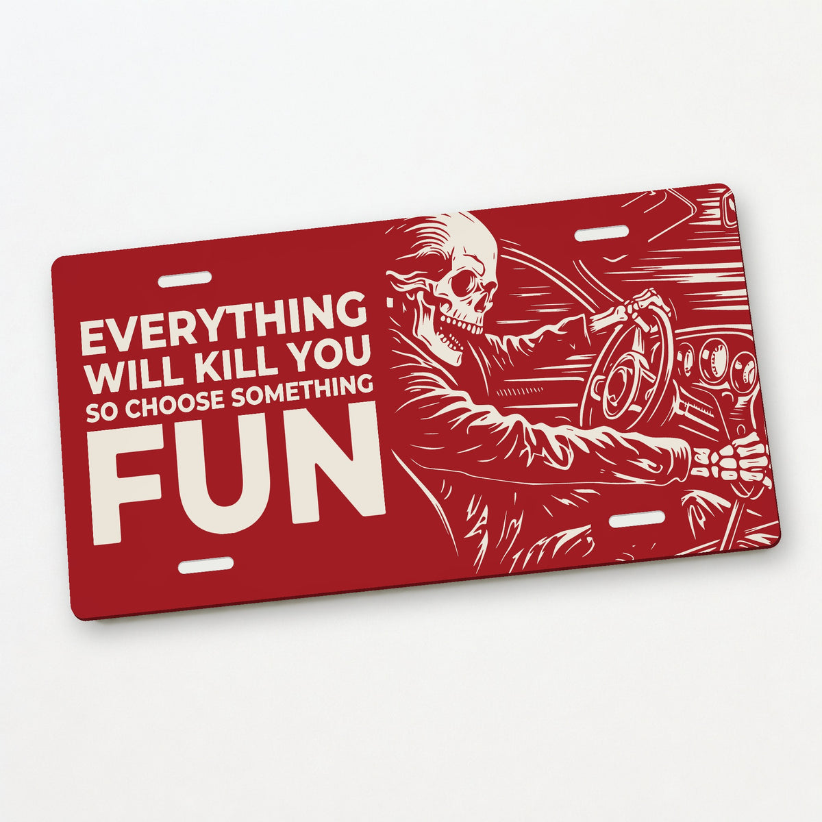Fun Ride - Everything Will Kill You Car Guy License Plate Sign - 12 x 6 in aluminum license plate