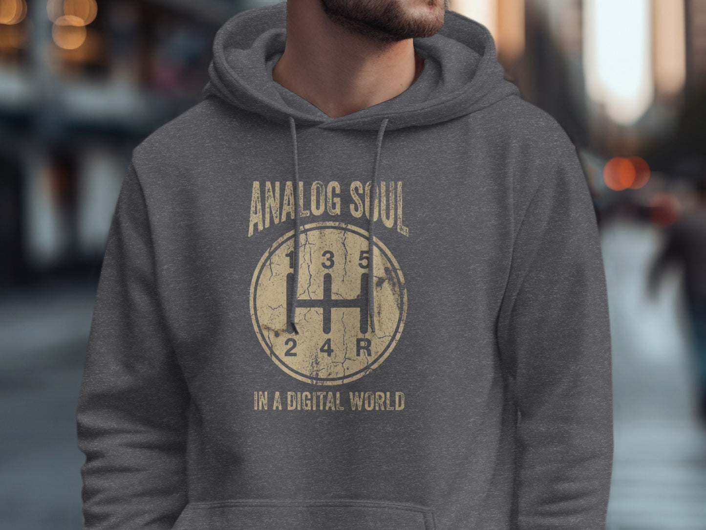 Analog Soul In A Digital World Hoodie For Gearheads