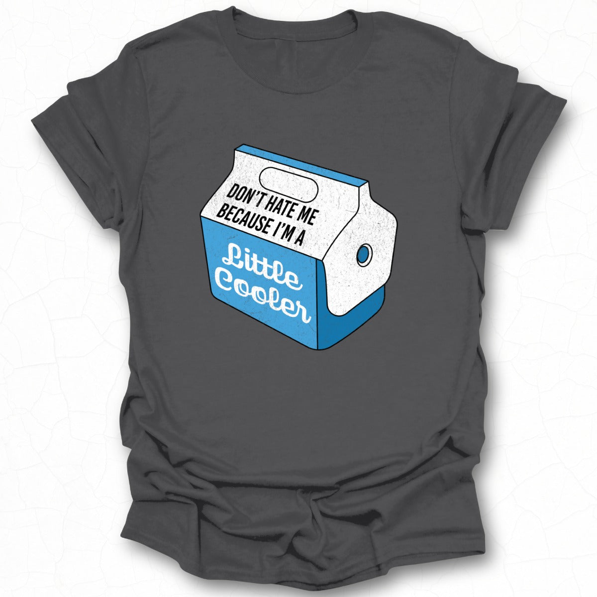 Don't Hate Me Because I'm a Little Cooler shirt