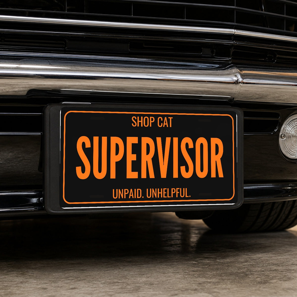 Shop Cat Supervisor Cat License Plate - 12 x 6 in aluminum license plate
