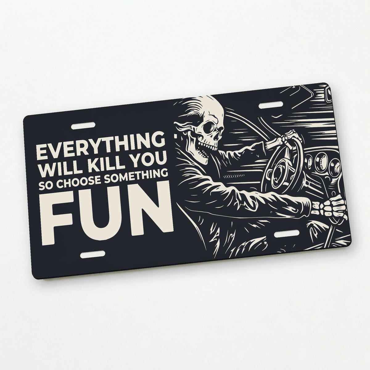 Fun Ride - Everything Will Kill You Car Guy License Plate Sign - 12 x 6 in aluminum license plate