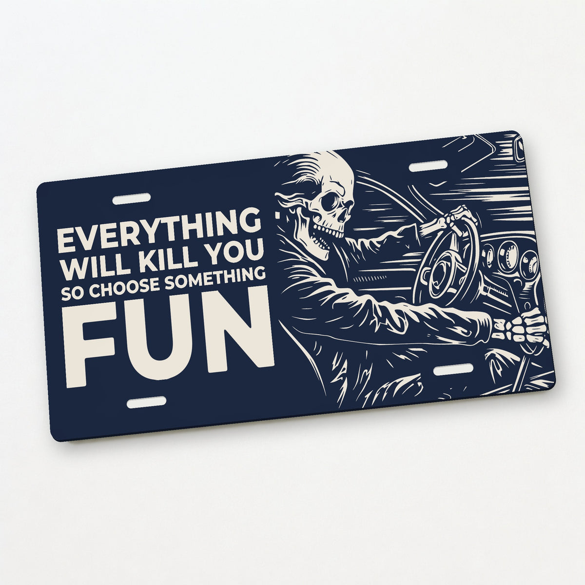 Fun Ride - Everything Will Kill You Car Guy License Plate Sign - 12 x 6 in aluminum license plate