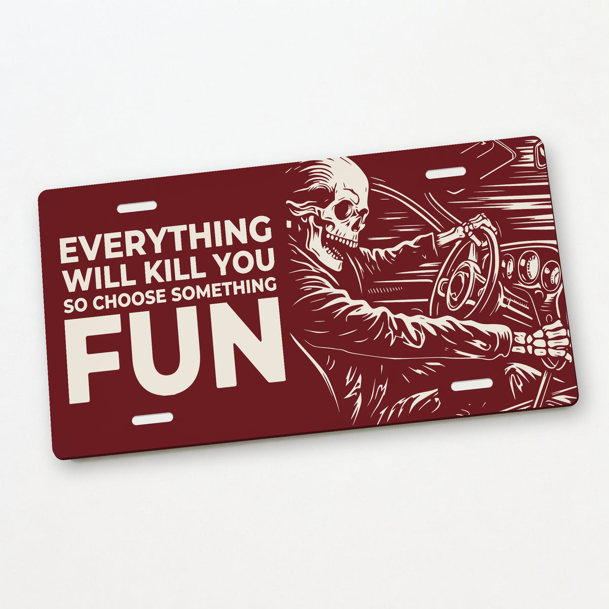 Fun Ride - Everything Will Kill You Car Guy License Plate Sign - 12 x 6 in aluminum license plate