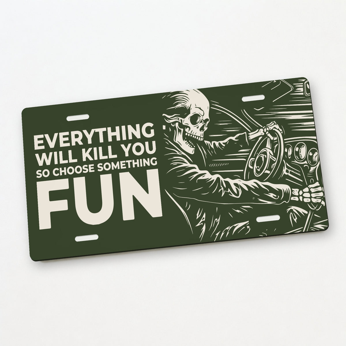 Fun Ride - Everything Will Kill You Car Guy License Plate Sign - 12 x 6 in aluminum license plate
