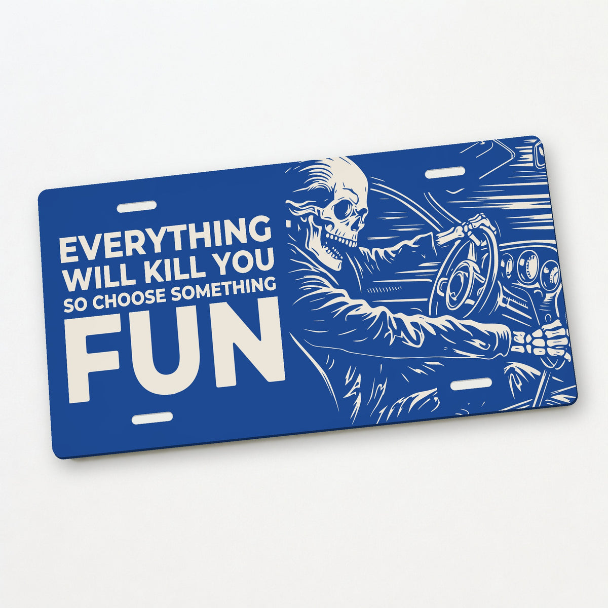 Fun Ride - Everything Will Kill You Car Guy License Plate Sign - 12 x 6 in aluminum license plate