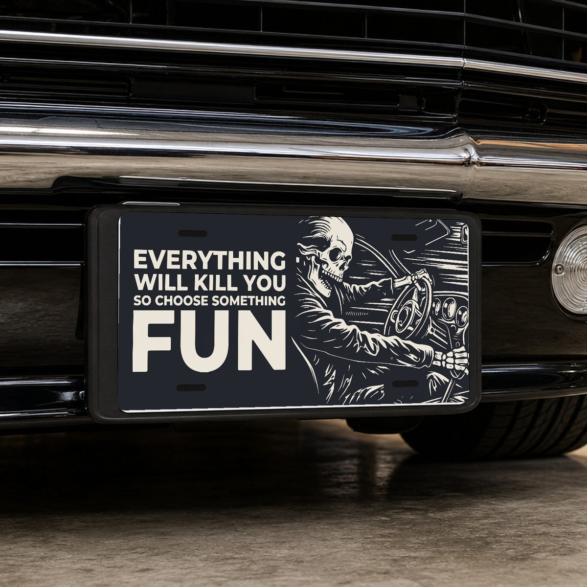 Fun Ride - Everything Will Kill You Car Guy License Plate Sign - 12 x 6 in aluminum license plate
