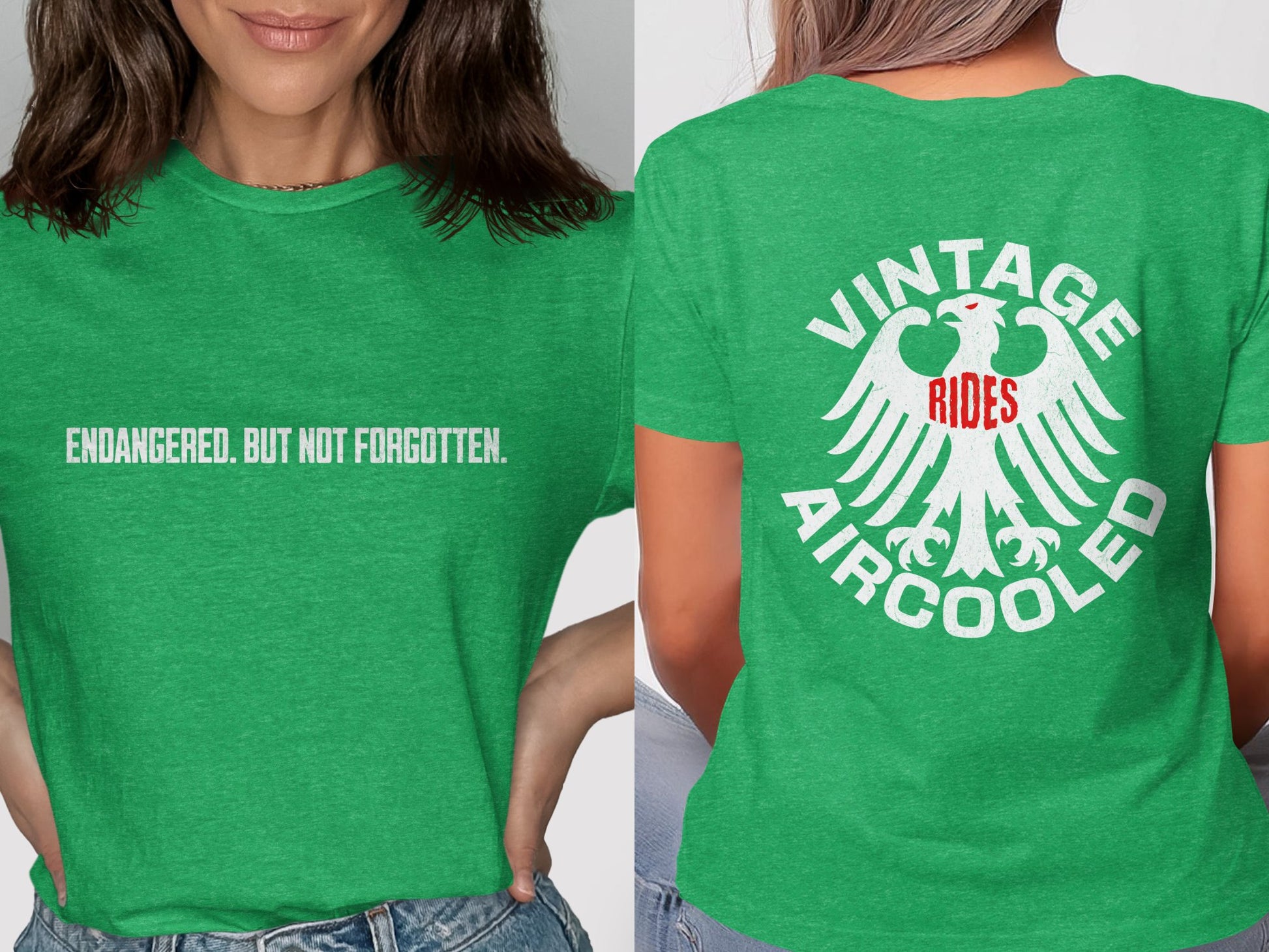 Endangered But Not Forgotten Vintage Aircooled product type