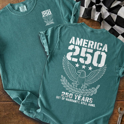 Blue Spruce | Front & Back