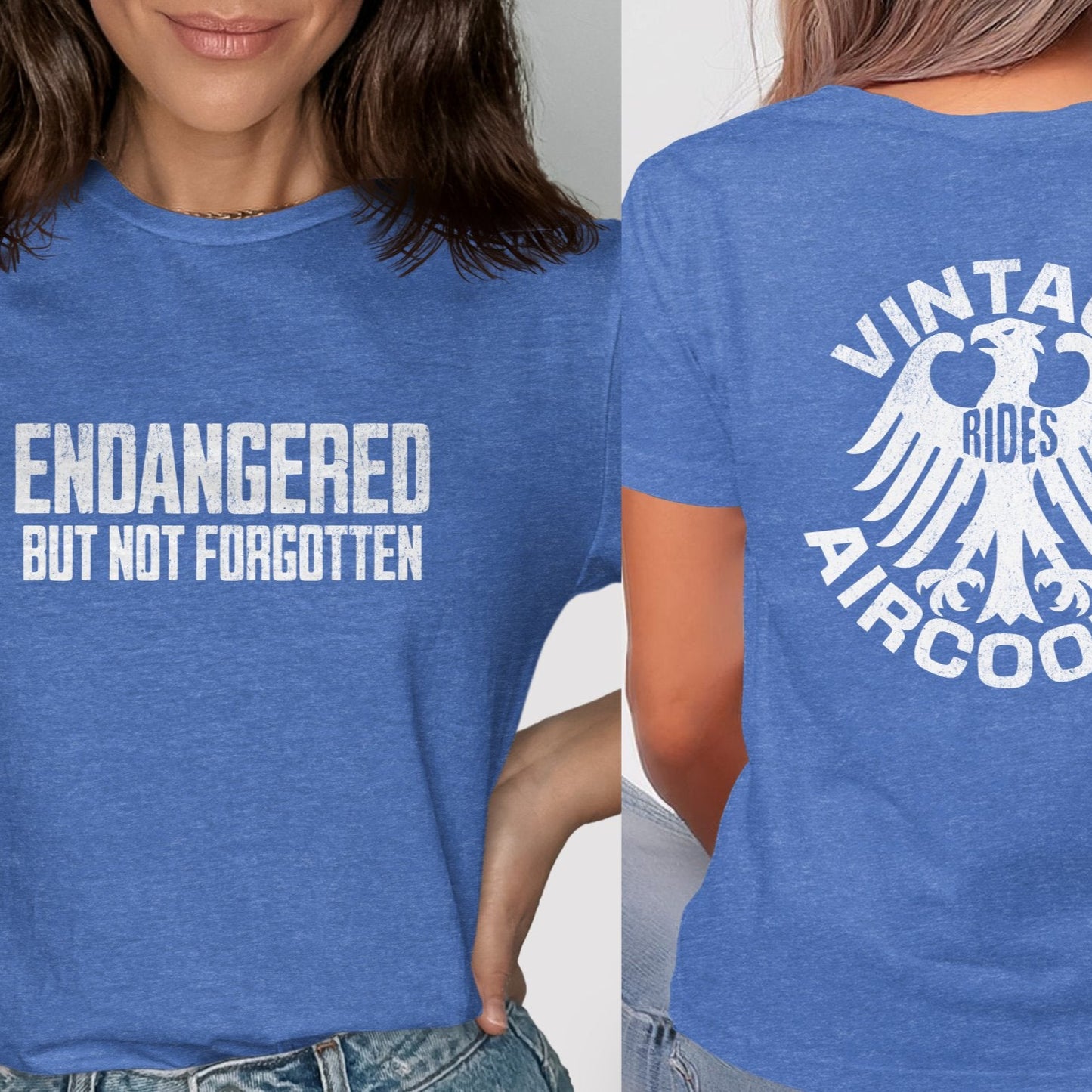 Endangered But Not Forgotten Vintage Rides Aircooled product type