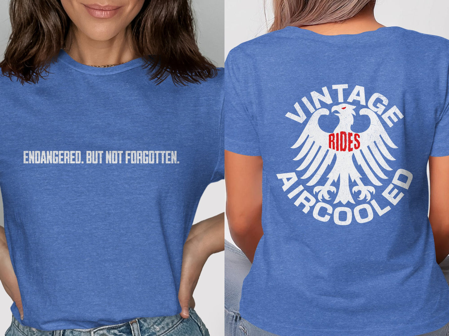 Endangered But Not Forgotten Vintage Rides Aircooled product type