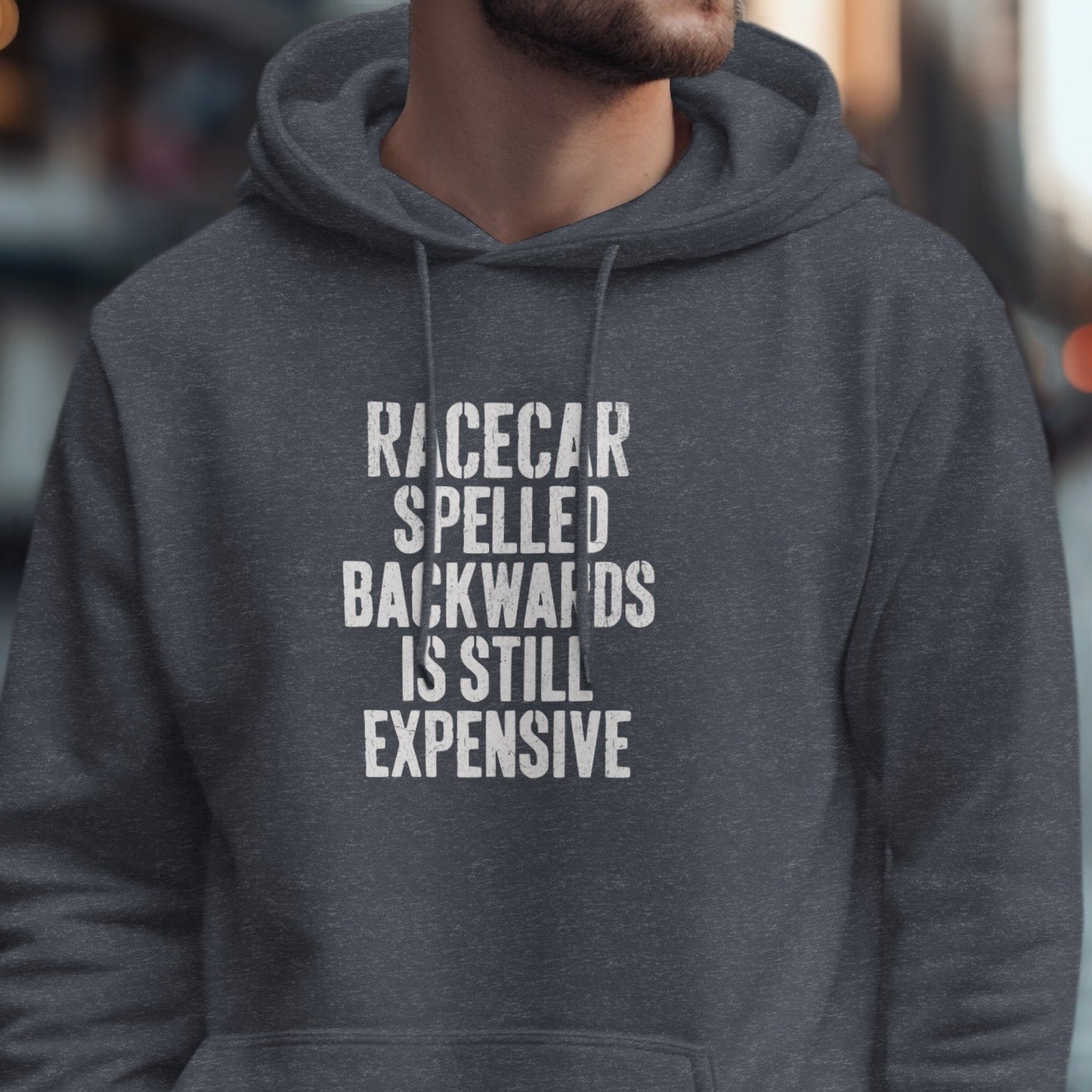 Racecar Spelled Backwards Still Expensive Hoodie